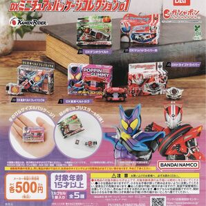 仮面ライダー シリーズ DX ミニチュア & パッケージ コレクション 01 全 5種