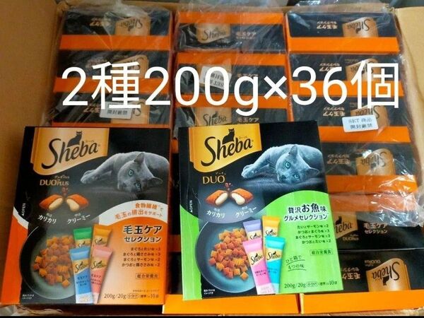 シーバ Sheba デュオ キャットフード 成猫用2種200g×36箱セット 贅沢お魚味グルメセレクション&毛玉ケアセレクション