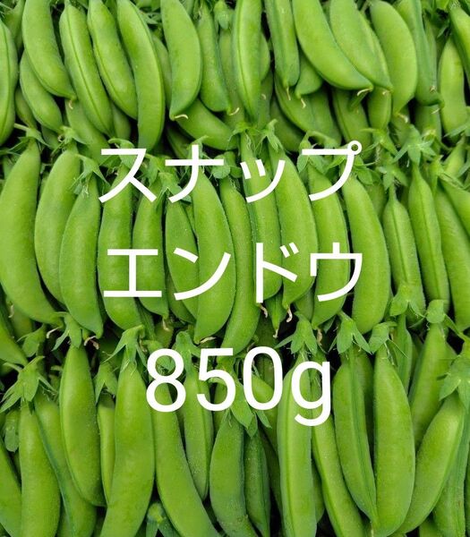 スナップエンドウ850g