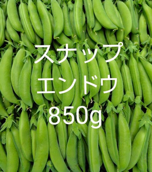 スナップエンドウ850g