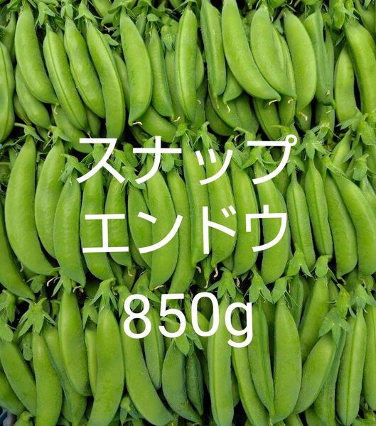 スナップエンドウ850g
