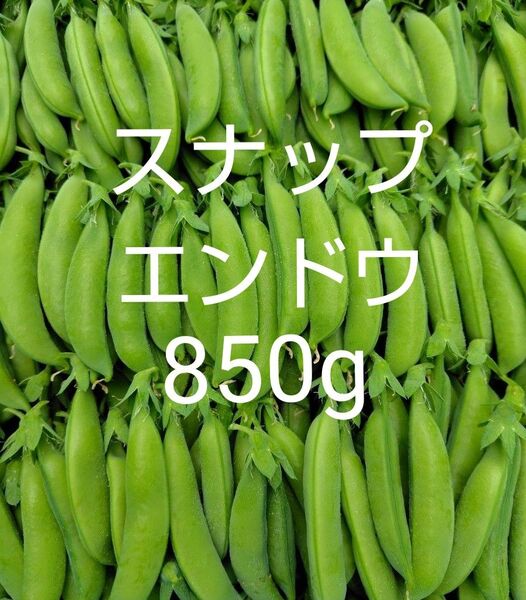 スナップエンドウ850g
