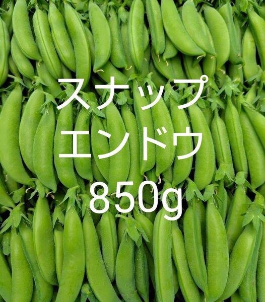スナップエンドウ850g
