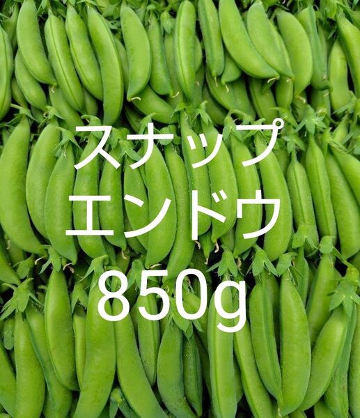 スナップエンドウ850g