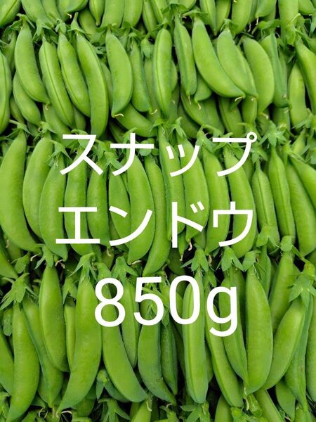 スナップエンドウ850g