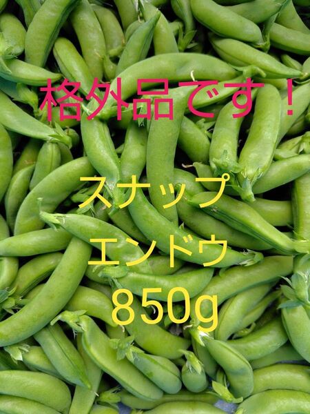 格外品!スナップエンドウ850g