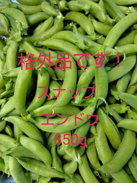 格外品!スナップエンドウ850g