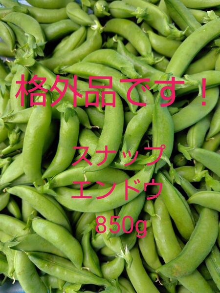 格外品です!スナップエンドウ850g