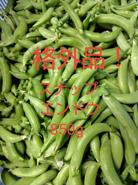 格外品です!スナップエンドウ850g