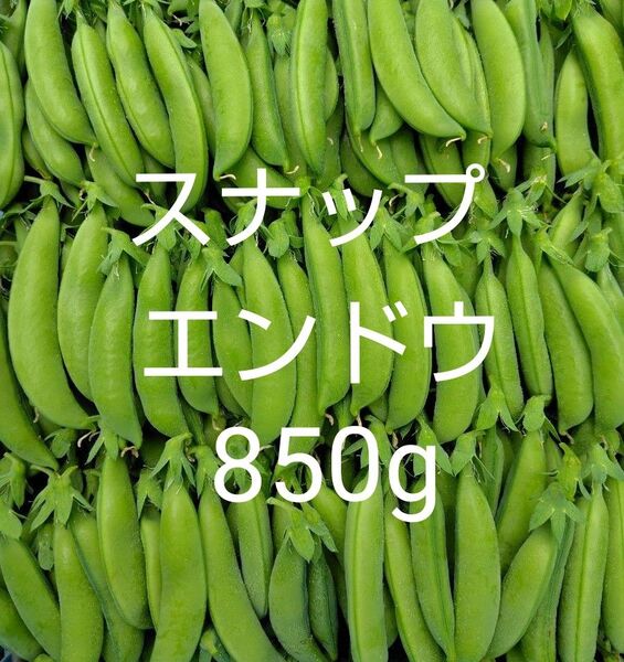 スナップエンドウ850g