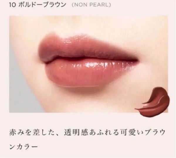 新品 Opera オペラ リップティント N (10 ボルドーブラウン)
