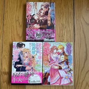 ヴァニラ文庫3冊セット 白銀の狼陛下と小国姫の蜜月身ごもり契約 (Vanilla文庫 キ7-05) 木登/著