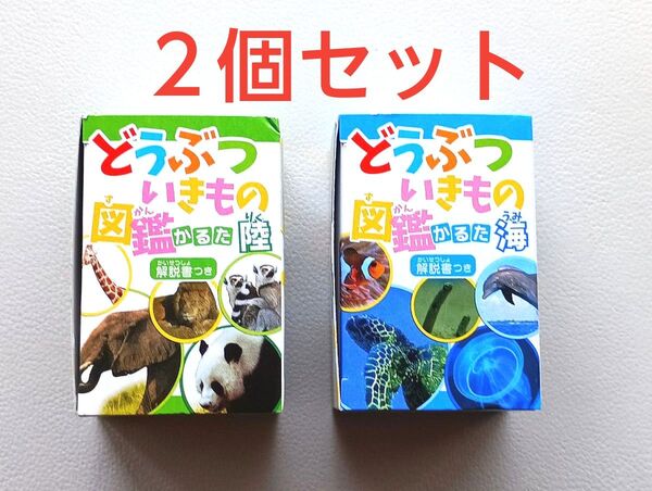 どうぶついきもの図鑑かるた【陸】と【海】の2個セット
