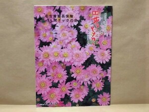 ［演劇パンフ］喜劇 女のたたかい　東宝現代劇特別公演　名鉄ホール 1982（中村玉緒/中村メイコ/正司歌江/長谷川稀世/沢田雅美/金子信雄