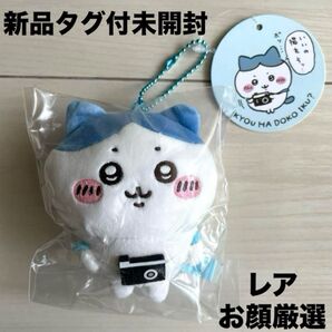 新品タグ付未開封 ちいかわ お出かけ楽しみなもちっとぷちミニマスコット ハチワレ レア入手困難カメラリュックはちわれお出掛けぬい撮