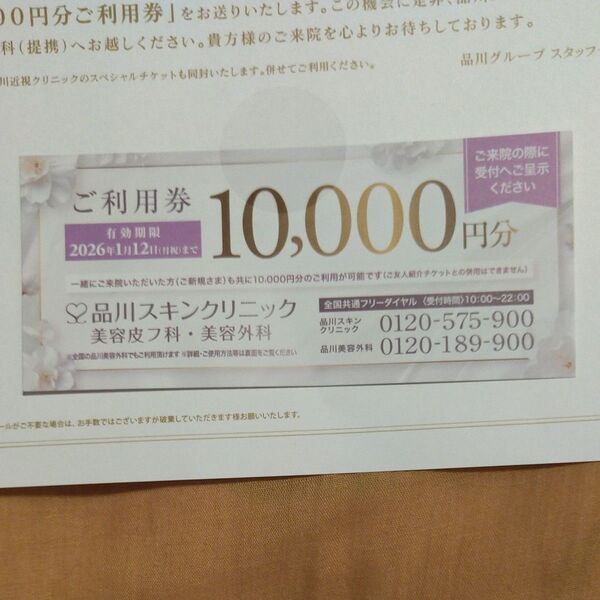品川スキンクリニック 利用券 10000円分 + 美肌注射半額チケット