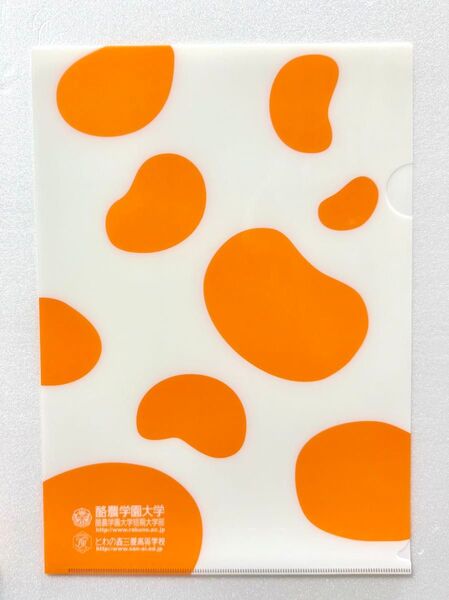牛柄 クリアファイル A4 オレンジ 牛の足跡ver 酪農学園大学 アニマル柄 動物 文房具