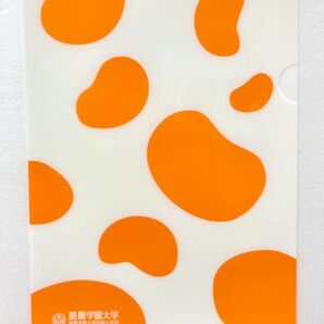 牛柄 クリアファイル A4 オレンジ 牛の足跡ver 酪農学園大学 アニマル柄 動物 文房具