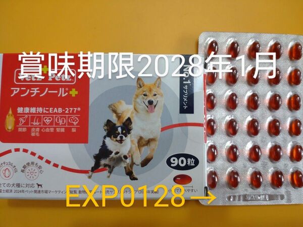 アンチノールプラス 犬用アンチノール