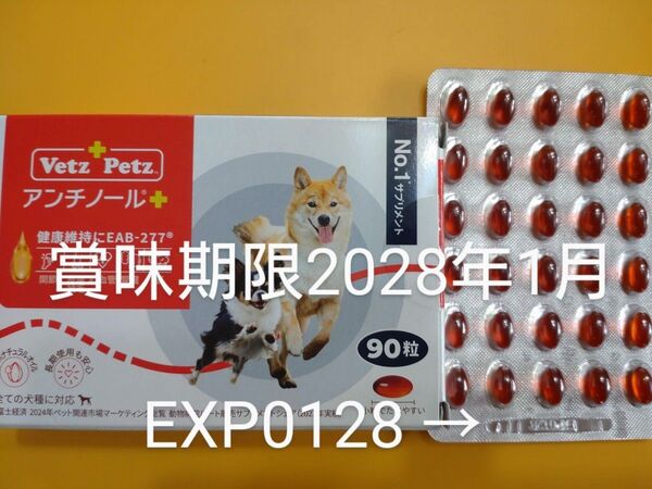 アンチノールプラス 犬用アンチノール