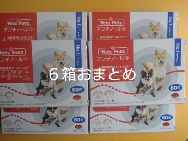 アンチノールプラス 60粒6箱おまとめ アンチノール