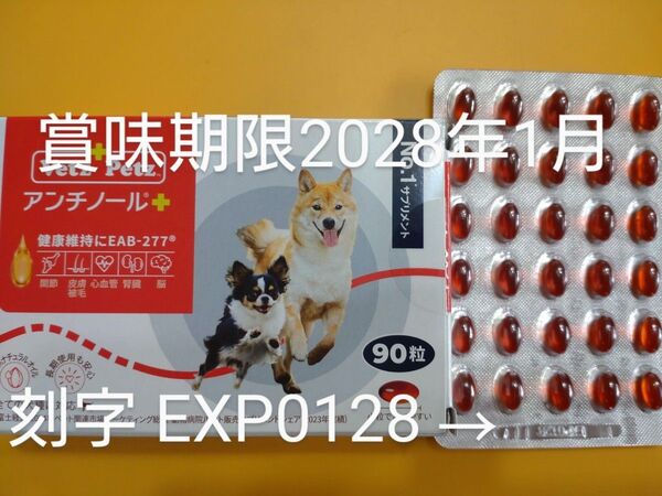 アンチノールプラス 犬用アンチノール