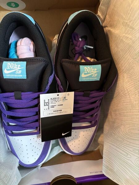Hayley Wilson Nike SB Dunk Low Pro HJ0513-500 27.5 9.5