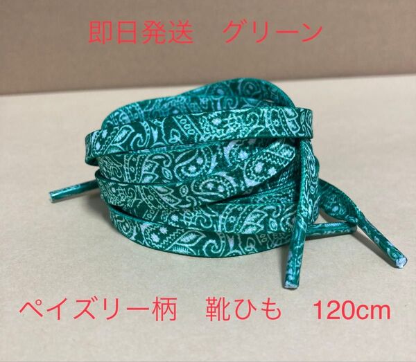 ペイズリー柄 靴紐 グリーン 120cm バンダナ柄