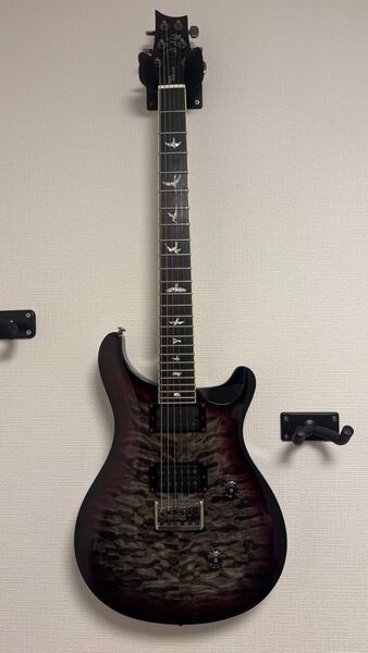 PRS SE Mark holcom