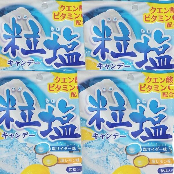 粒塩キャンデー50g×4袋 塩サイダー味・塩レモン味 おいしく手軽に!塩分補給