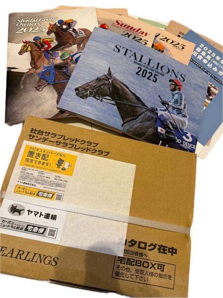 【新品未開封】2025年 社台サラブレッドクラブ サンデーサラブレッドクラブカタログ
