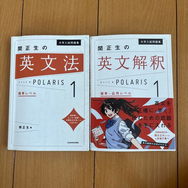 大学入試問題集関正生の英文法ポラリス 1 (大学入試問題集) 関正生/著 標準レベル 応用レベル 2冊セット
