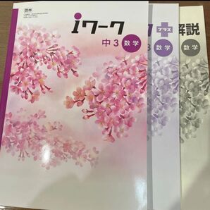 iワーク 中3数学 塾専用