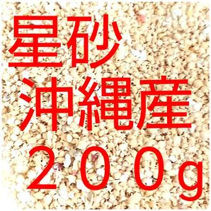 星の砂 星砂 沖縄県産