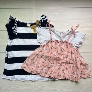 petlt main 半袖セット