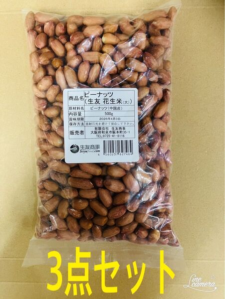 無添加 大粒 生落花生 花生 花生米 生 ピーナッツ 500g