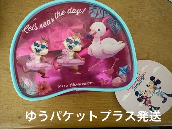 ディズニーリゾート サニーサニーサマー チップとデール ビニールポーチ チョコインスナック 新品未開封品