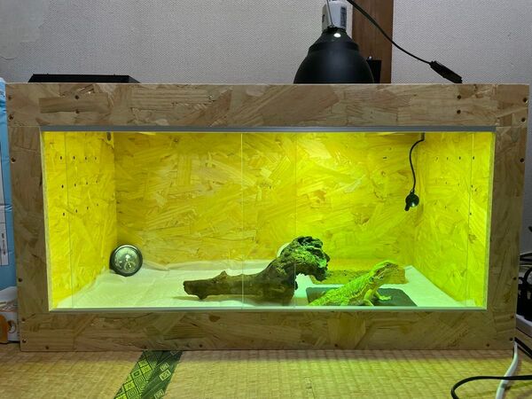 爬虫類 ケージ 引き取り限定
