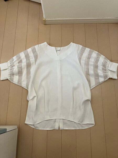 白ブラウス ストライプ柄 シースルー