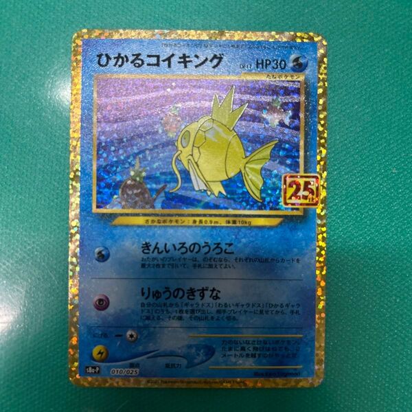 ひかるコイキング 25th