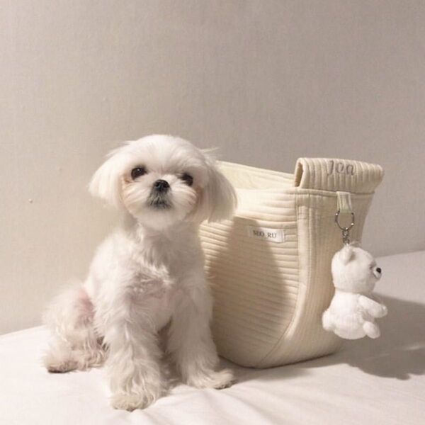 【美品】seoru スリング バッグ + クッション M 韓国 キャリーバッグ ペット 犬 猫