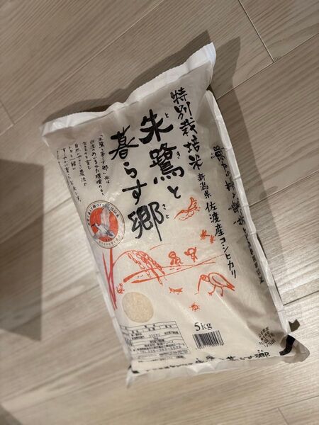 新潟県佐渡産 特別栽培米 減農薬 白米 コシヒカリ 5kg 令和6年産