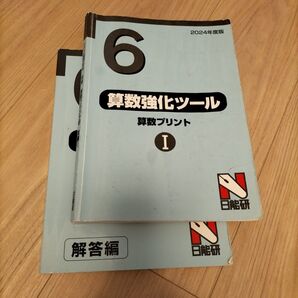 日能研 算数強化ツール 算数プリント6年解答付
