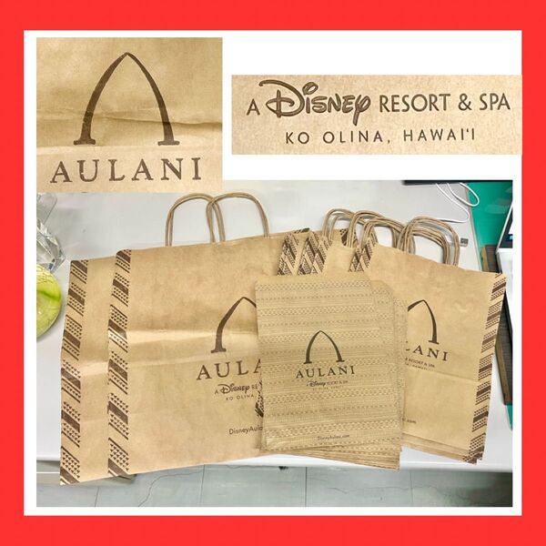 【美品、送料込】ディズニーアウラニリゾート◆AULANIショッピングバッグセット