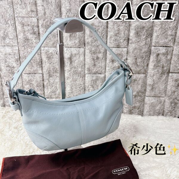 【希少色】COACH コーチ アクセサリーポーチ ワンショルダーバッグ ハンドバッグ 肩掛け お洒落 レザー青ブルー