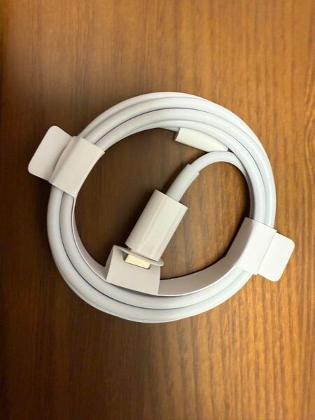 Lightning USB-C type-C 新品未使用 ライトニング