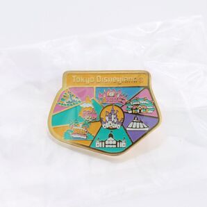 ディズニー ランド マップ ピンバッジ ディズニー disney