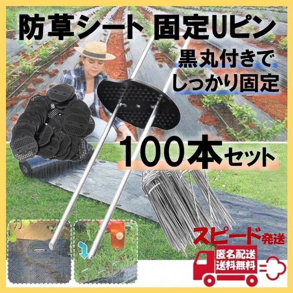 防草シート ピン Uピン杭 100本セット シート押え 黒丸付 固定ピン 防雪