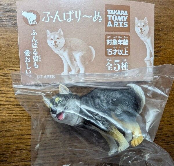ふんばり~ぬ 黒柴犬 ガチャ