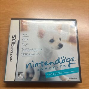 ニンテンドーDS DS DSソフト